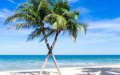 Beach Holidays