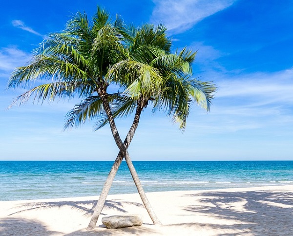 beach-1822544_640