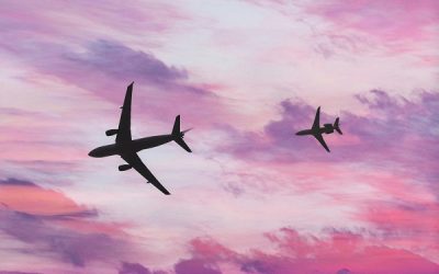 Flight Only