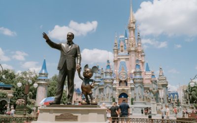Disney Packages