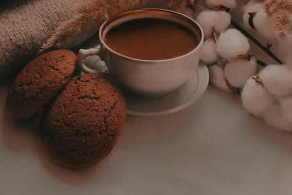 pexels-yuuilina-9770426