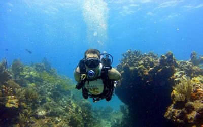 Diving Holidays