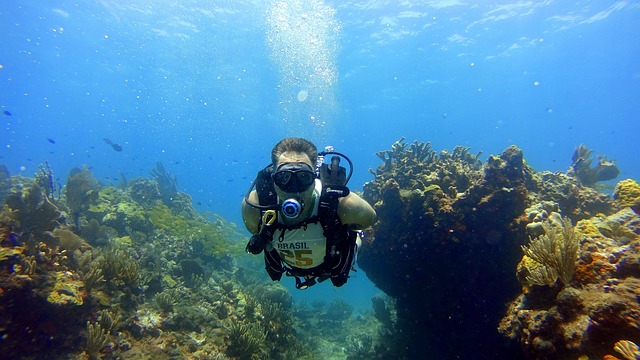 scuba-5297716_640