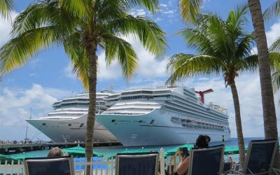 Cruise